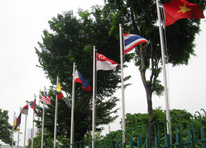 ASEAN Member Flags